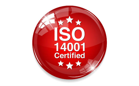 Máster online en Medio Ambiente ISO 14001:2015 y Auditorías Ambientales + Certificación Notario Europeo 