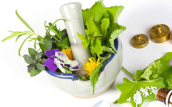 Curso online de Plantas Medicinales