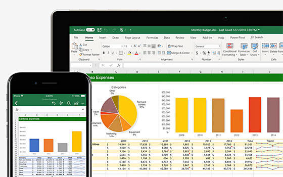 Curso online de Excel 365