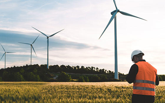 Curso online Energías Renovables: Técnico en Energía Solar y Eólica.