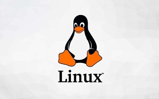 Curso online de Administración avanzada de Linux (LPIC-2)