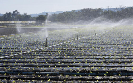 Curso online de Agua para riego