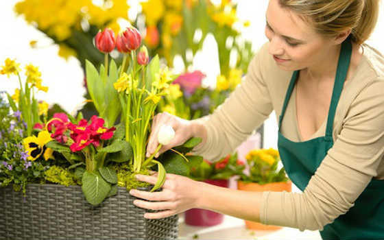 Curso online de Composiciones Florales: Técnicas de Elaboración, Elementos Utilizados y Características