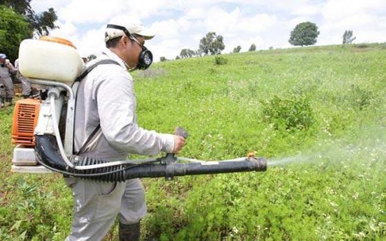 Curso online de Sanidad de las Plantas