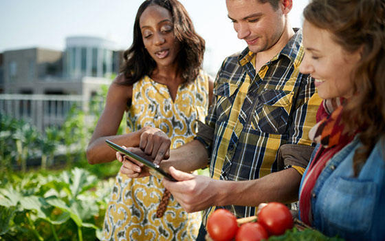 Curso online Profesional de Horticultura y Floricultura