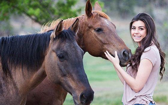 Curso online Profesional de Cuidado y Manejo de Caballos