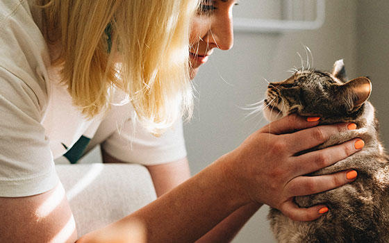 Curso Básico a distancia de Primeros Auxilios a Animales Domésticos