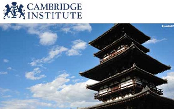 Curso online de Chino para Principiantes de Cambridge Institute Curso online de Chino para Principiantes de Cambridge Institute