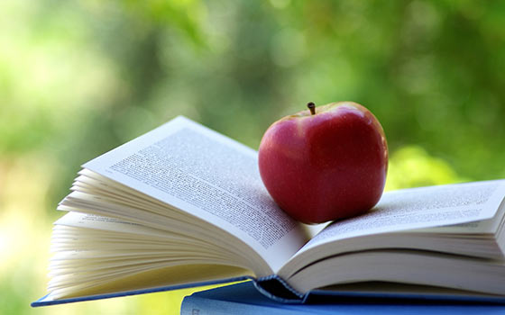 Curso online de Formador de Formadores. Conviértete en profesor Curso online de Formador de Formadores. Conviértete en profesor