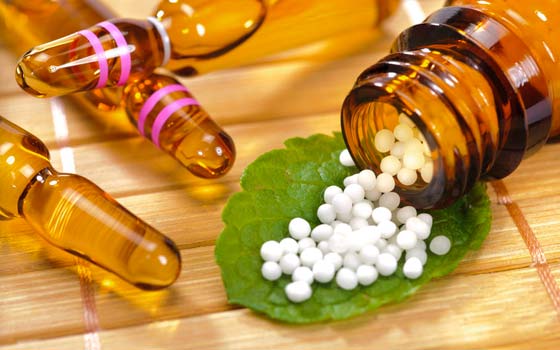Curso a distancia de Herbología y Herbodietética Curso a distancia de Herbología y Herbodietética
