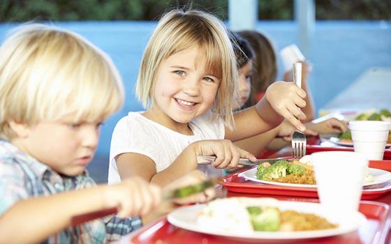 Curso a distancia de Nutrición, Dietética y Diseño de Menús en la Infancia