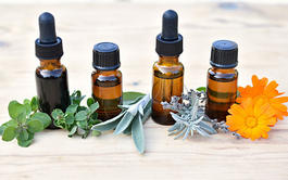 Curso online Cuida tu Sistema Circulatorio y Cardiovascular con Plantas Medicinales