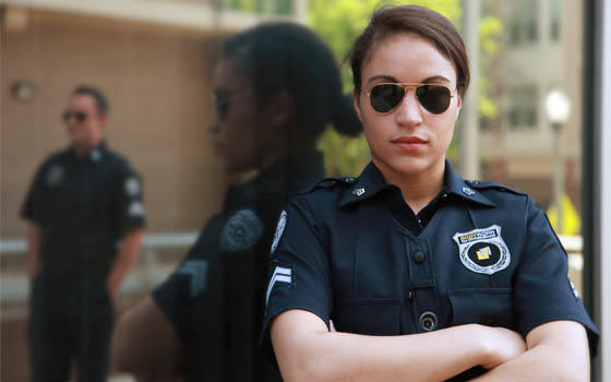 Curso online de Auxiliar de Seguridad en Eventos Curso online de Auxiliar de Seguridad en Eventos