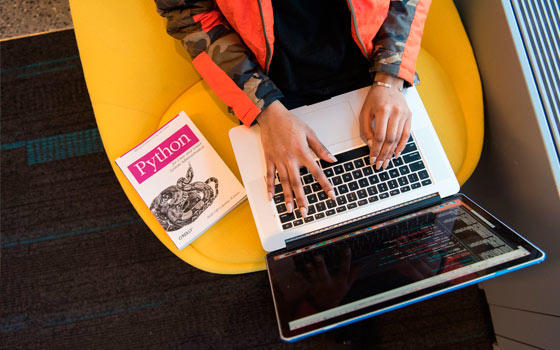 Curso online de Python Programming Curso online de Python Programming