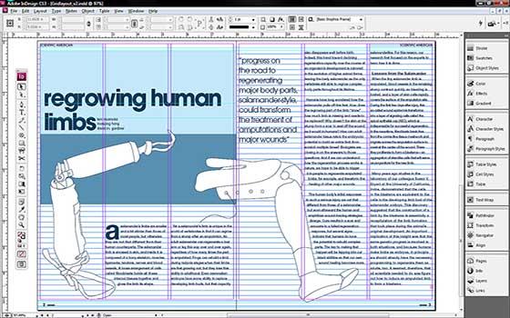 Curso online de InDesign CS6 Curso online de InDesign CS6