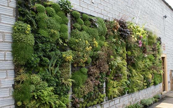 Curso online de Iniciación a la Jardinería Vertical