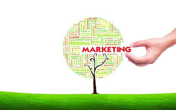 Curso online de Marketing Ecológico Curso online de Marketing Ecológico