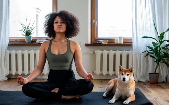 Curso online de Profesor de Yoga Curso online de Profesor de Yoga