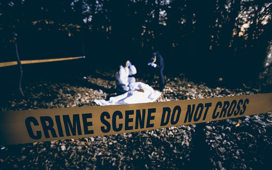 Máster online en Criminología y Criminalística Máster online en Criminología y Criminalística