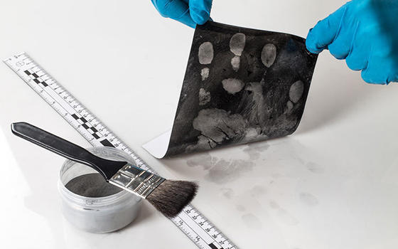 Máster online en Criminología y Criminalística Máster online en Criminología y Criminalística