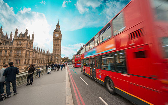 Pack de 8 Cursos online de Inglés (acceso 12, 24 ó 36 meses)